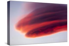 Lenticular Cloud at Sunset, Katmai National Park, Alaska-null-Stretched Canvas