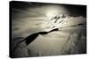 Lenticular Clouds Above Mount Rainier's Summit in Mount Rainier National Park, Washington-Dan Holz-Stretched Canvas