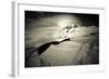 Lenticular Clouds Above Mount Rainier's Summit in Mount Rainier National Park, Washington-Dan Holz-Framed Photographic Print