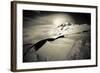 Lenticular Clouds Above Mount Rainier's Summit in Mount Rainier National Park, Washington-Dan Holz-Framed Photographic Print