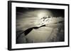 Lenticular Clouds Above Mount Rainier's Summit in Mount Rainier National Park, Washington-Dan Holz-Framed Photographic Print