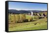 Lenzkirch-Saig, autumn, Black Forest, Baden-Wurttemberg, Germany-Markus Lange-Framed Stretched Canvas