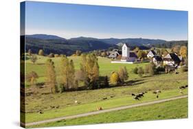 Lenzkirch-Saig, autumn, Black Forest, Baden-Wurttemberg, Germany-Markus Lange-Stretched Canvas