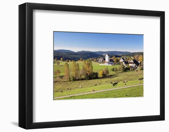 Lenzkirch-Saig, autumn, Black Forest, Baden-Wurttemberg, Germany-Markus Lange-Framed Photographic Print