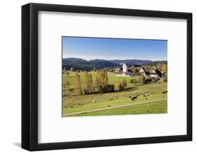 Lenzkirch-Saig, autumn, Black Forest, Baden-Wurttemberg, Germany-Markus Lange-Framed Photographic Print