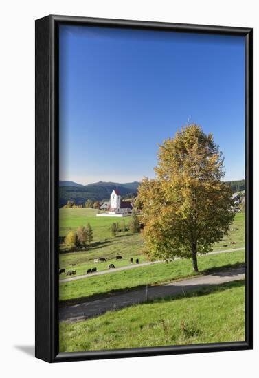 Lenzkirch-Saig, autumn, Black Forest, Baden-Wurttemberg, Germany-Markus Lange-Framed Photographic Print