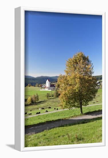 Lenzkirch-Saig, autumn, Black Forest, Baden-Wurttemberg, Germany-Markus Lange-Framed Photographic Print