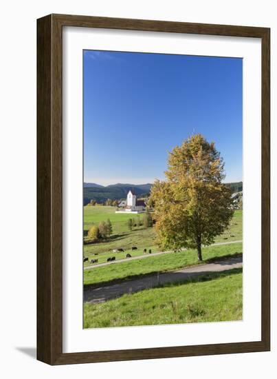 Lenzkirch-Saig, autumn, Black Forest, Baden-Wurttemberg, Germany-Markus Lange-Framed Photographic Print