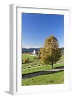 Lenzkirch-Saig, autumn, Black Forest, Baden-Wurttemberg, Germany-Markus Lange-Framed Photographic Print