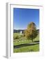 Lenzkirch-Saig, autumn, Black Forest, Baden-Wurttemberg, Germany-Markus Lange-Framed Photographic Print