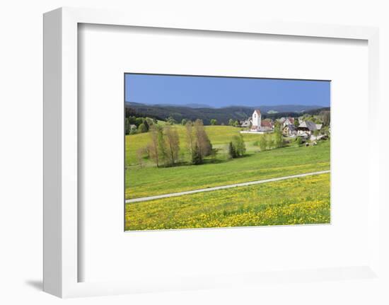 Lenzkirch-Saig, spring, Black Forest, Baden-Wurttemberg, Germany-Markus Lange-Framed Photographic Print