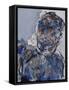 Leo Genn in a Dressing Gown, 2006-Stephen Finer-Framed Stretched Canvas