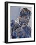 Leo Genn in a Dressing Gown, 2006-Stephen Finer-Framed Giclee Print