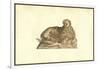 Leo Humana Capite-Ulisse Aldrovandi-Framed Art Print