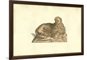 Leo Humana Capite-Ulisse Aldrovandi-Framed Art Print