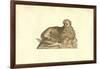 Leo Humana Capite-Ulisse Aldrovandi-Framed Art Print