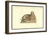 Leo Humana Capite-Ulisse Aldrovandi-Framed Art Print