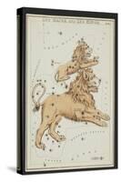 Leo Major and Leo Minor Constellations, 1825-Science Source-Stretched Canvas