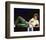 Leo Sayer-null-Framed Photo