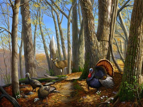 Art Print, , large