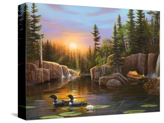Stretched Canvas Print, , large