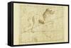 Leo the Lion-Sir John Flamsteed-Framed Stretched Canvas