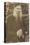 Leo Tolstoy, Russian Novelist-null-Stretched Canvas