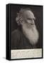 Leo Tolstoy-null-Framed Stretched Canvas