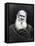 Leo Tolstoy-null-Framed Stretched Canvas