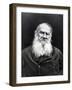 Leo Tolstoy-null-Framed Photographic Print