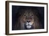 Leo-SD Smart-Framed Giclee Print