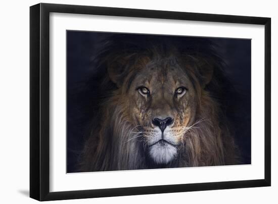 Leo-SD Smart-Framed Giclee Print