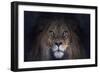 Leo-SD Smart-Framed Giclee Print