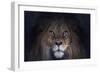 Leo-SD Smart-Framed Giclee Print