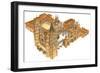 Leon Cathedral, Spain-Fernando Aznar Cenamor-Framed Giclee Print