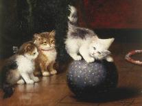 Kittens at Play-Leon Charles Huber-Giclee Print