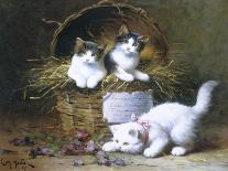 Kittens at Play-Leon Charles Huber-Giclee Print