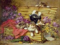 Kittens at Play-Leon-charles Huber-Stretched Canvas