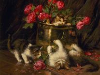 Kittens at Play-Leon-charles Huber-Stretched Canvas