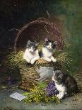 Kittens at Play-Leon-charles Huber-Stretched Canvas