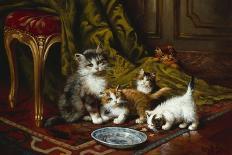 Kittens at Play-Leon Charles Huber-Giclee Print