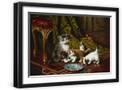 Black Frame