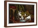Brown Frame