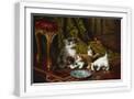 White Frame