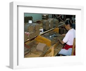 Leon Jimenes Cigar Factory, Town of Santiago, Saint Domingue (Santo Domingo), Dominican Republic-Bruno Barbier-Framed Photographic Print