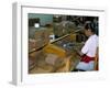 Leon Jimenes Cigar Factory, Town of Santiago, Saint Domingue (Santo Domingo), Dominican Republic-Bruno Barbier-Framed Photographic Print