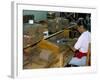 Leon Jimenes Cigar Factory, Town of Santiago, Saint Domingue (Santo Domingo), Dominican Republic-Bruno Barbier-Framed Photographic Print