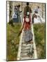 Wood Mount