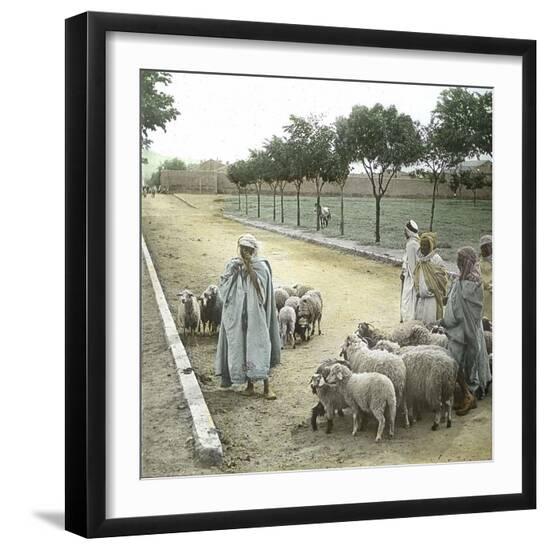 Photographic Print, , large