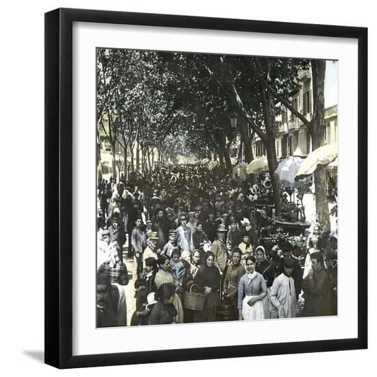 Photographic Print, , large